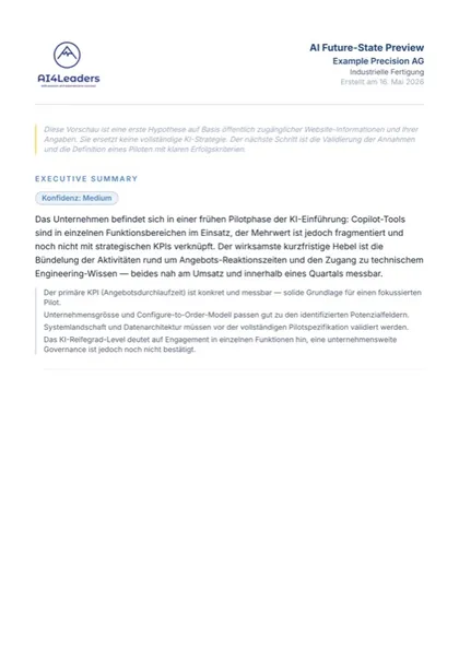 Sample report, page 1: executive summary with a first assessment for an industrial manufacturing company