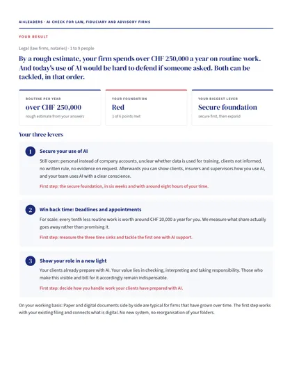 Sample result: assessment, three key figures and the three levers